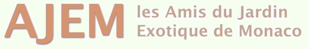 texte